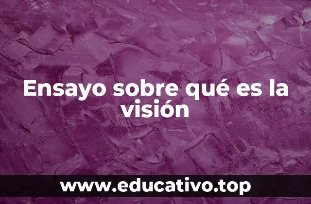 Ensayo sobre qué es la visión