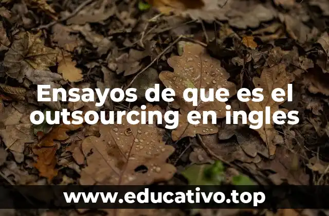 Ensayos de que es el outsourcing en ingles