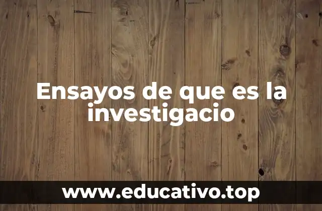 Ensayos de que es la investigacio