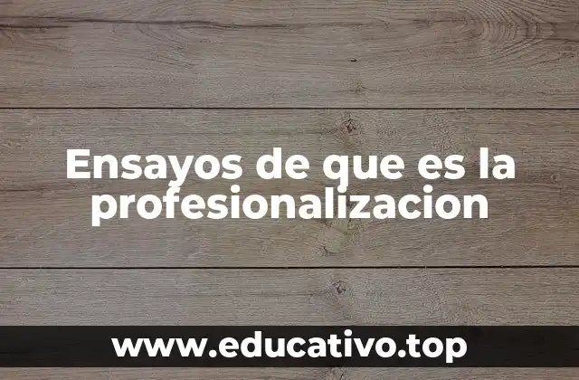 Ensayos de que es la profesionalizacion