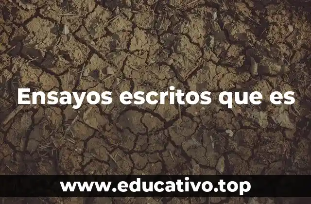 Ensayos escritos que es