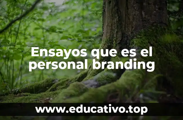 Ensayos que es el personal branding