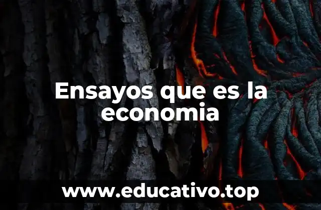 Ensayos que es la economia