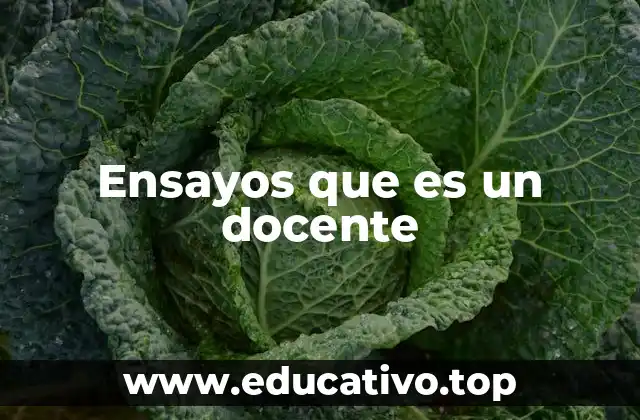 Ensayos que es un docente