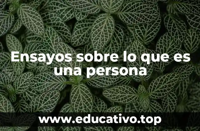 Ensayos sobre lo que es una persona