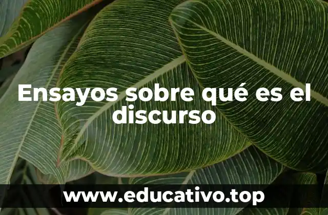 El rol del discurso en la construcción social de la realidad