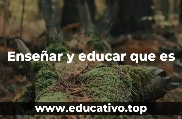 Enseñar y educar que es