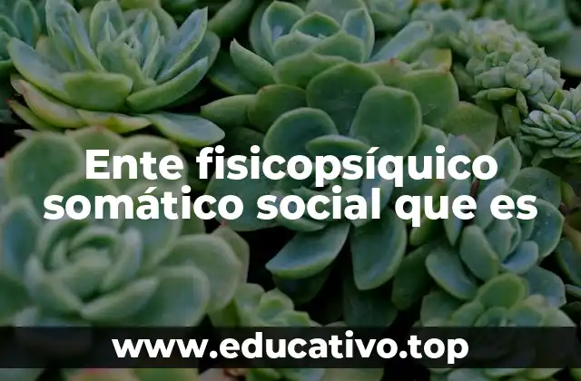 Ente fisicopsíquico somático social que es