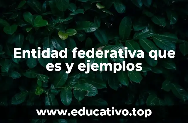 Entidad federativa que es y ejemplos