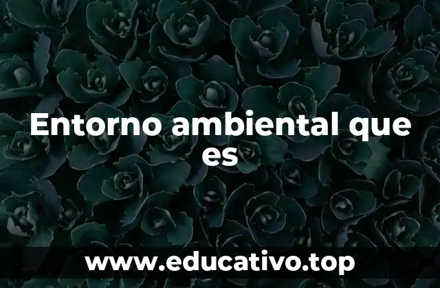 Entorno ambiental que es