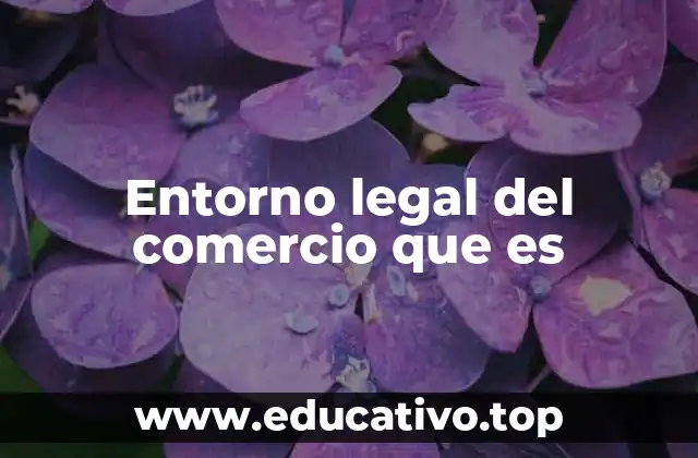 Entorno legal del comercio que es