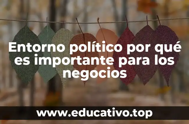 Entorno político por qué es importante para los negocios