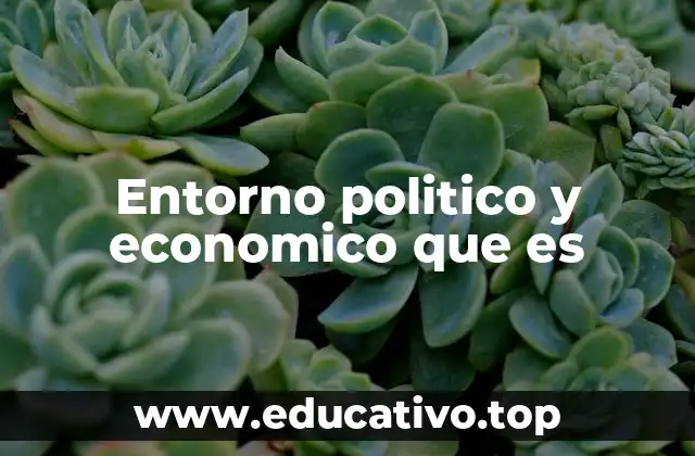 Entorno politico y economico que es