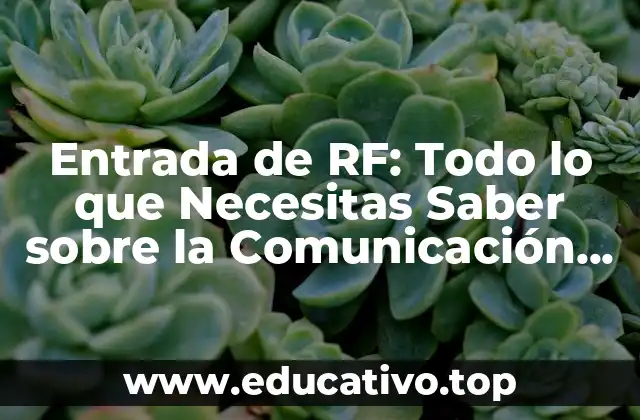 Entrada de RF: Todo lo que Necesitas Saber sobre la Comunicación por Radiofrecuencia