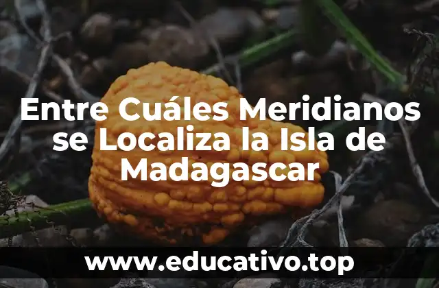 Entre Cuáles Meridianos se Localiza la Isla de Madagascar