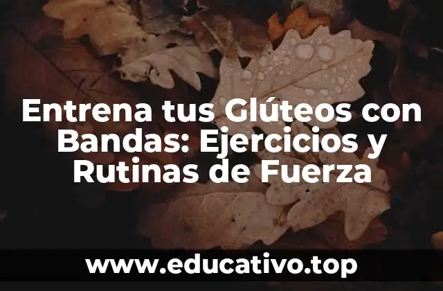 Entrena tus Glúteos con Bandas: Ejercicios y Rutinas de Fuerza