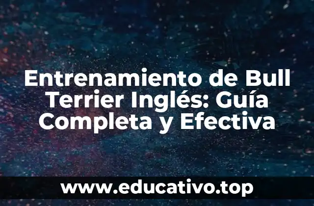 Entrenamiento de Bull Terrier Inglés: Guía Completa y Efectiva