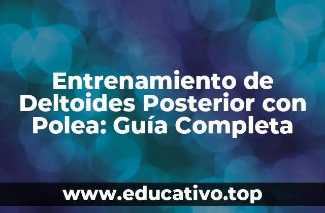 Entrenamiento de Deltoides Posterior con Polea: Guía Completa