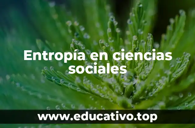 Entropía en ciencias sociales