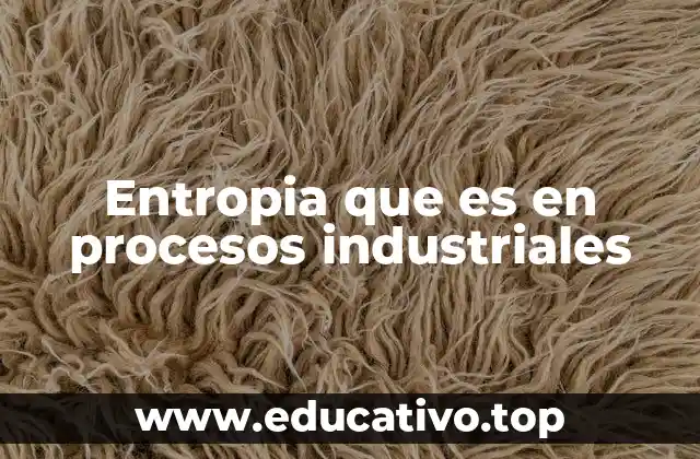 El papel de la entropía en la optimización de procesos industriales