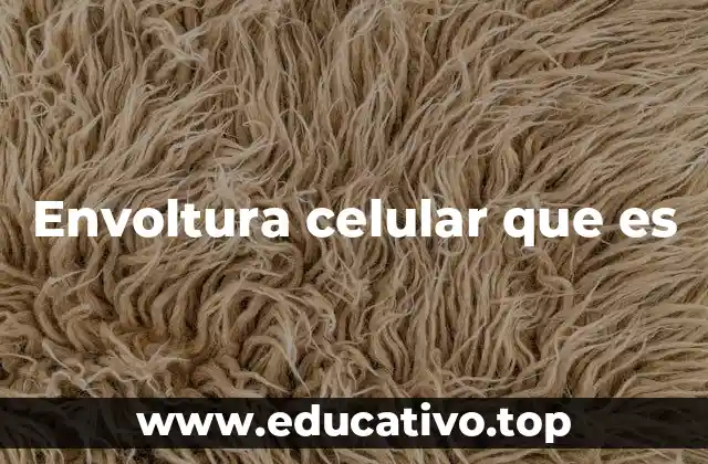 Envoltura celular que es