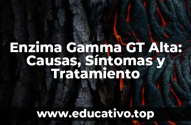 Enzima Gamma GT Alta: Causas, Síntomas y Tratamiento