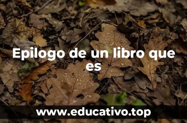 Epilogo de un libro que es