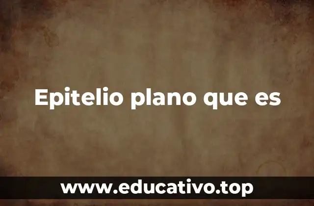 Funciones del tejido epitelial plano
