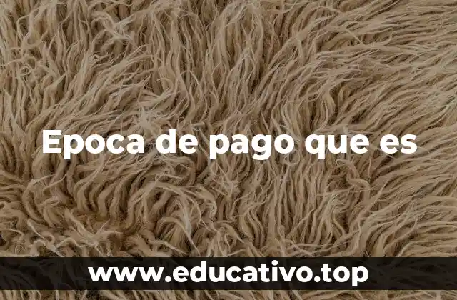 Epoca de pago que es