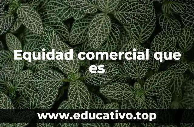 Equidad comercial que es