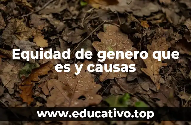 Equidad de genero que es y causas