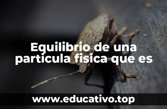 Equilibrio de una particula fisica que es