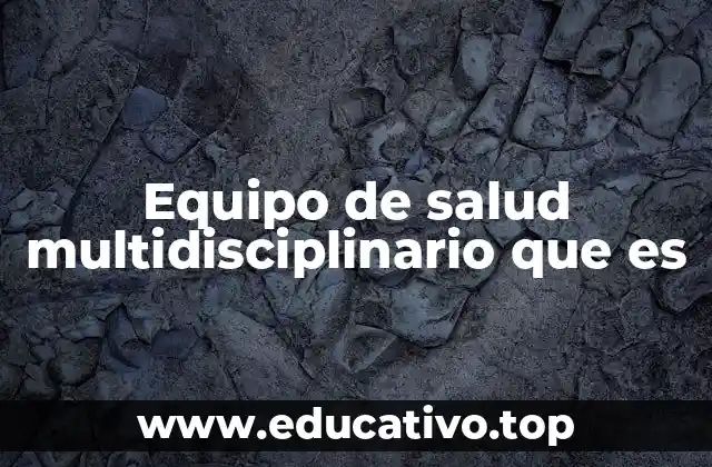 Equipo de salud multidisciplinario que es