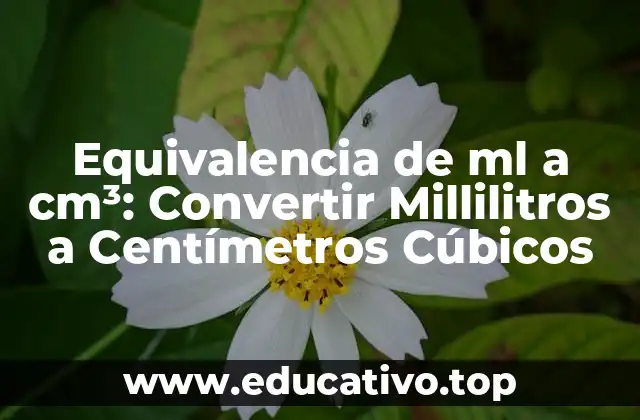 Equivalencia de ml a cm³: Convertir Millilitros a Centímetros Cúbicos
