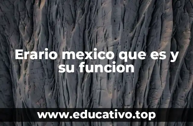 Erario mexico que es y su funcion