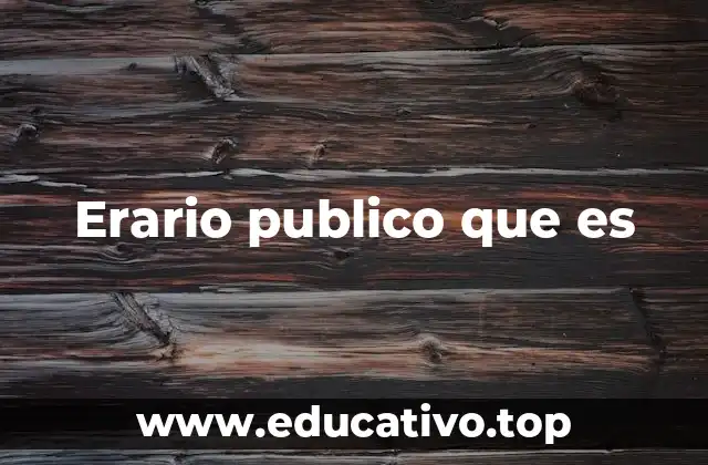 Erario publico que es