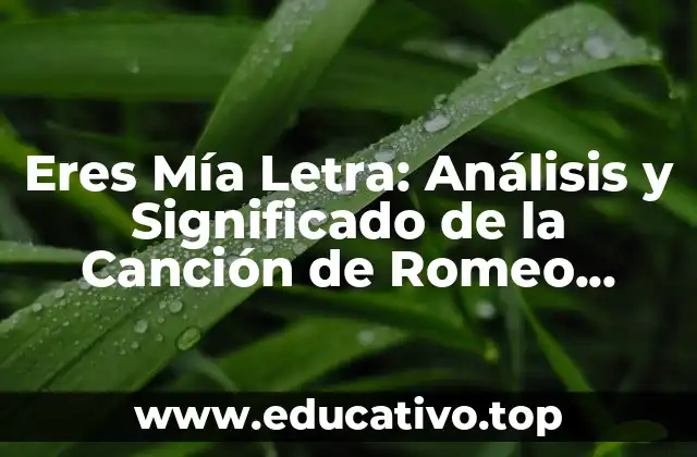 Eres Mía Letra: Análisis y Significado de la Canción de Romeo Santos