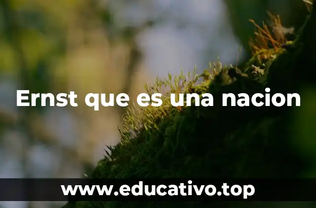 Ernst que es una nacion