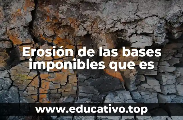 Erosión de las bases imponibles que es