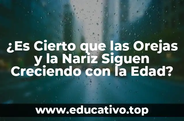 ¿Es Cierto que las Orejas y la Nariz Siguen Creciendo con la Edad?