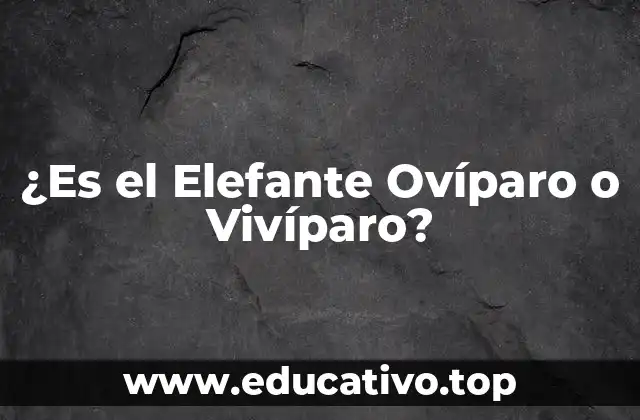 ¿Es el Elefante Ovíparo o Vivíparo?