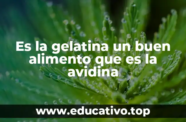 Es la gelatina un buen alimento que es la avidina