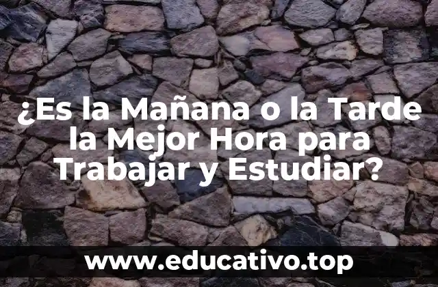 ¿Es la Mañana o la Tarde la Mejor Hora para Trabajar y Estudiar?