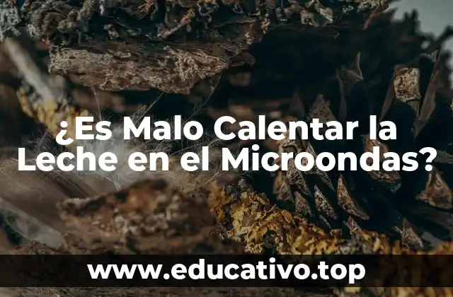 ¿Es Malo Calentar la Leche en el Microondas?