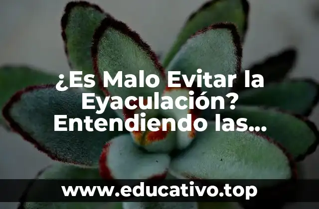 ¿Por qué la Gente Quiere Evitar la Eyaculación?