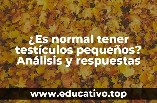 ¿Es normal tener testículos pequeños? Análisis y respuestas
