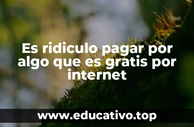 Es ridiculo pagar por algo que es gratis por internet
