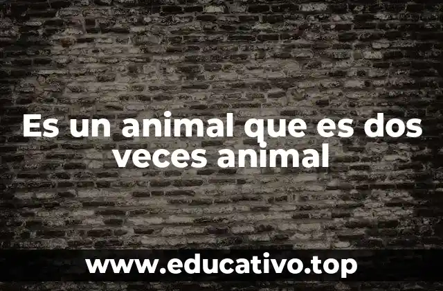 Es un animal que es dos veces animal