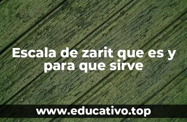 Escala de zarit que es y para que sirve