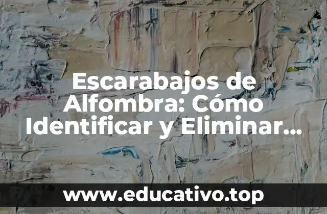 Escarabajos de Alfombra: Cómo Identificar y Eliminar estos Problemas de Plagas